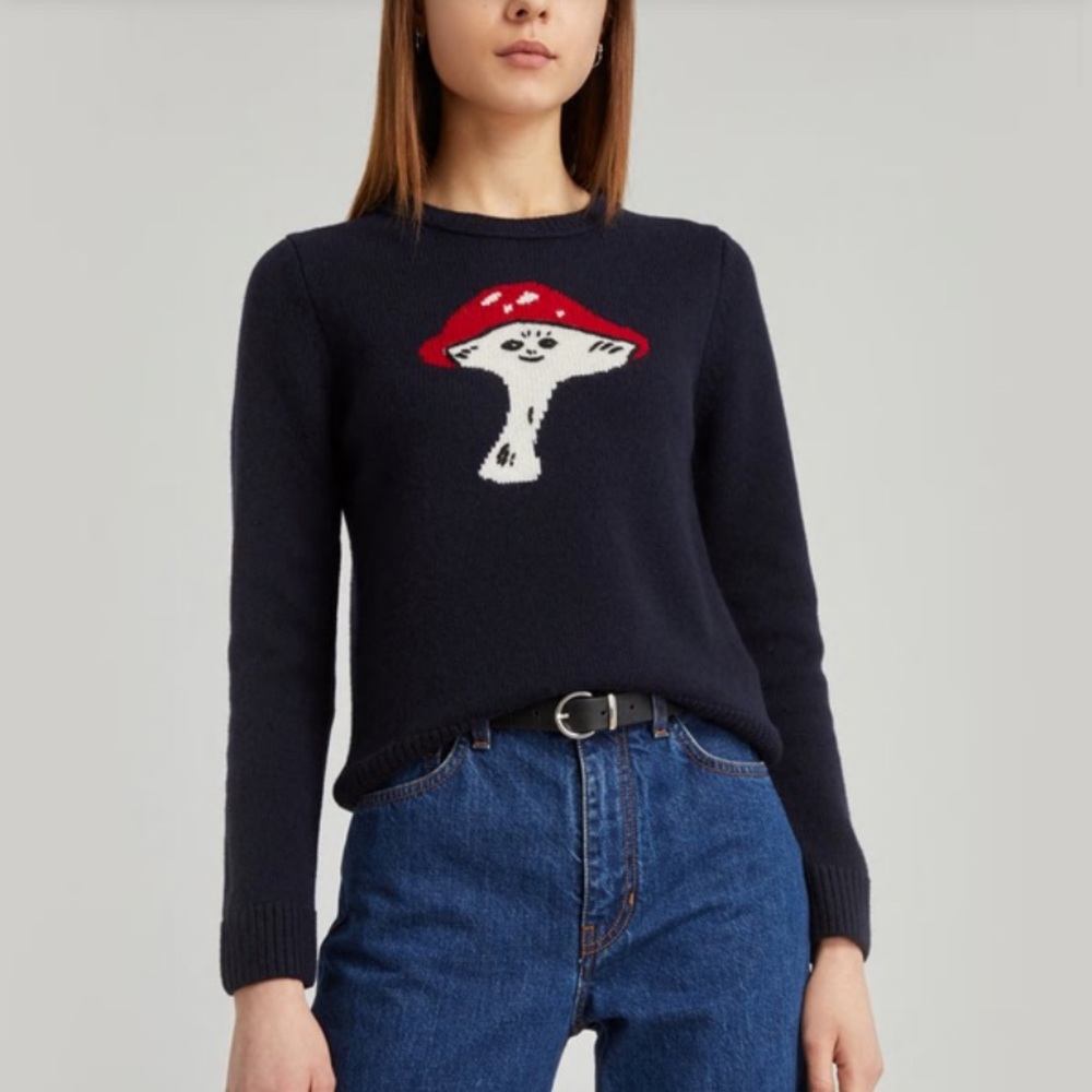 Alexachung Wool Mushroom Sweater - Excellent Condition